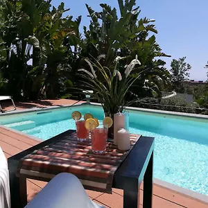 Villa Lily House